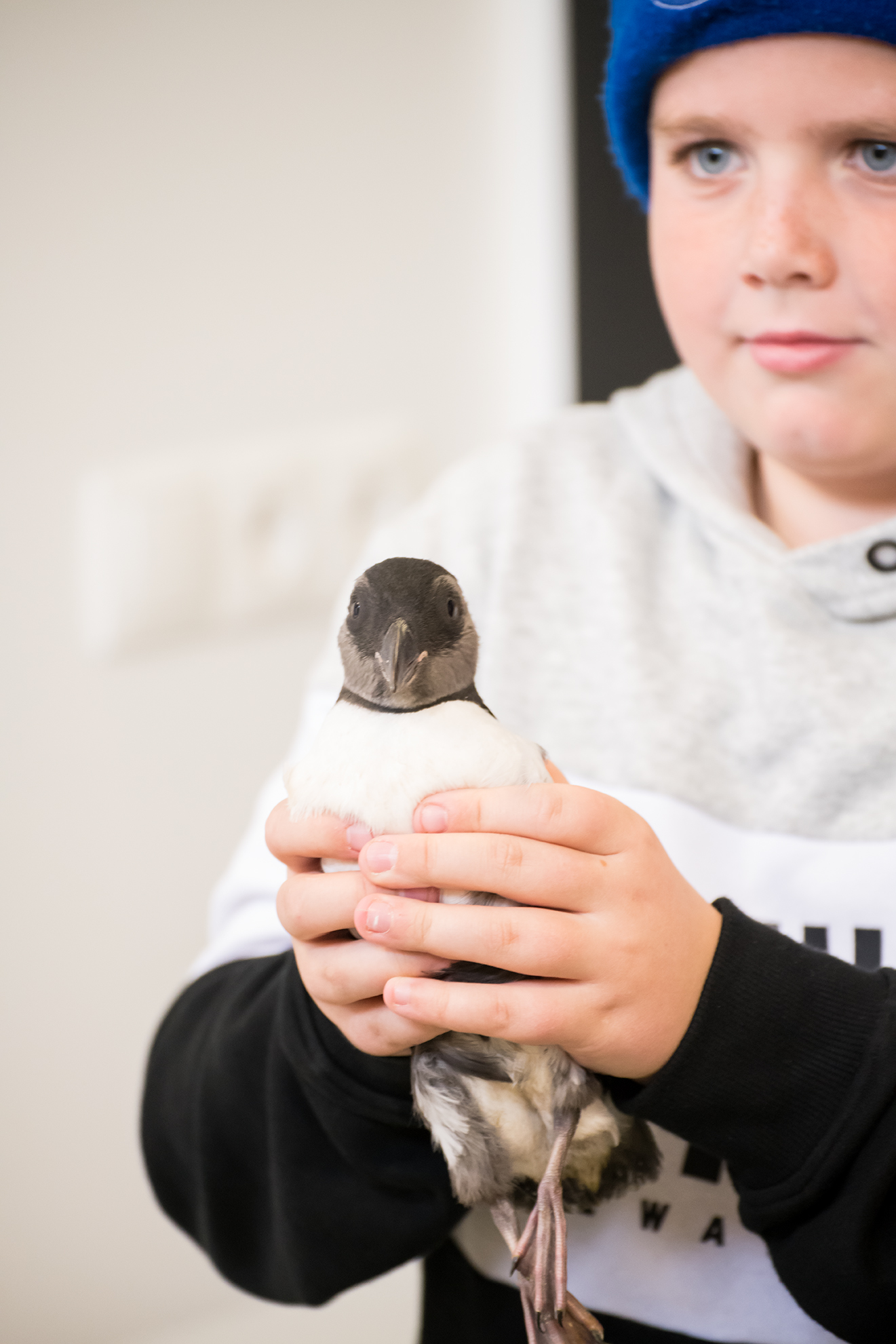 Boy with Bird